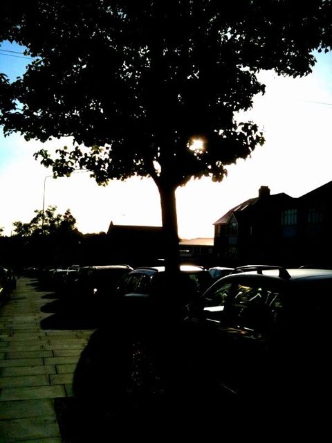 Morning time... Morning time...