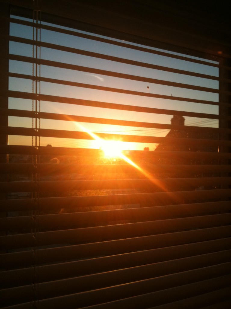 Monday... You almost treated me well. Thanks for that. 25thOctober 768x1024 Monday... Is out there...