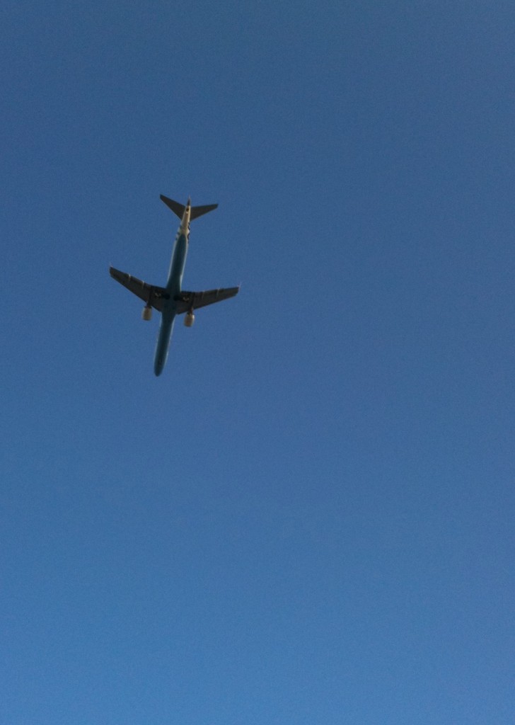 Overhead Overhead 728x1024 Leaving? Or Coming?