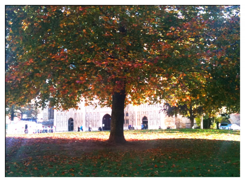 Wondering around the Cathedral green in Exeter... On the sort of day that could have been in the Summer it was so sunny! November7th 1024x762 Wondering around #Exeter Cathedral Green