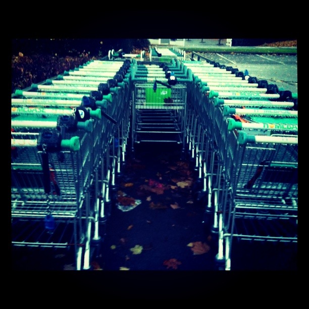 Told you it was a really rather random photo November8th A really rather random photo