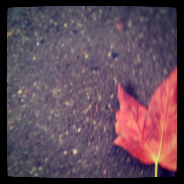 1stAug 1stAug The Start of Autumn?